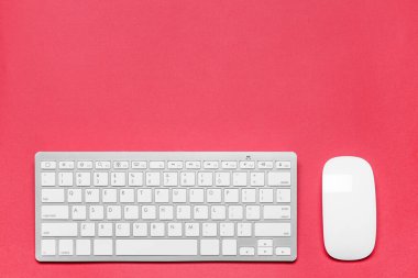 Renk arkaplanındaki modern bilgisayar faresi ve klavyesi