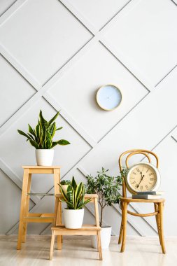 Ev bitkileri ve saatlerle dolu bir odanın içinde.