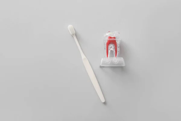 Szczoteczka Zębów Plastikowy Model Zęba Szarym Tle — Zdjęcie stockowe