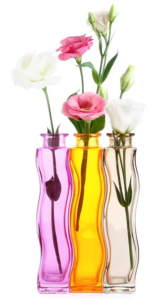 Beautiful Vases Flowers White Background — Stock Photo, Image