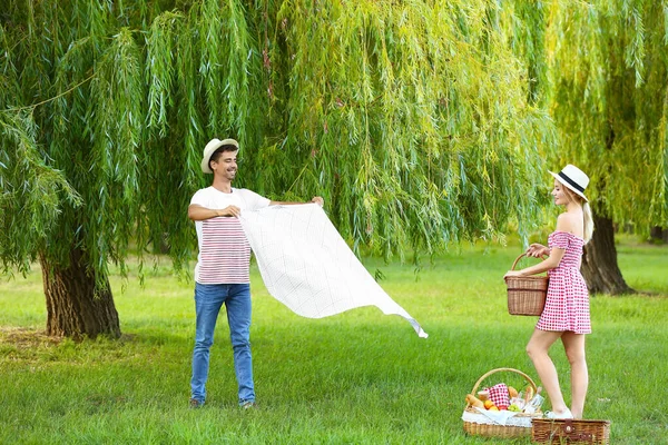 Happy Young Couple Picnic Park — Stock Photo, Image