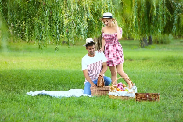 Mutlu genç çift parkta piknik yapıyor.