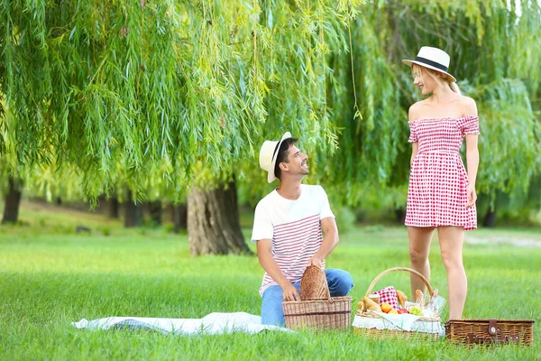 Happy Young Couple Picnic Park — Stock Photo, Image