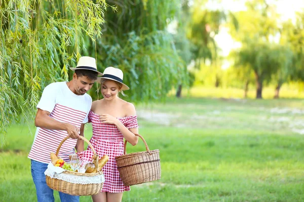 Mutlu genç çift parkta piknik yapıyor.