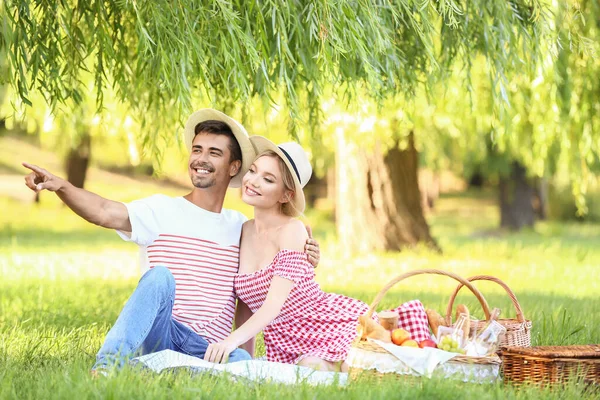 Boldog Fiatal Pár Piknik Parkban — Stock Fotó