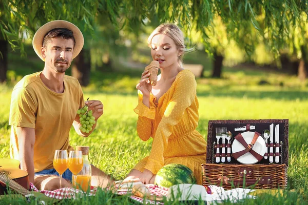 Happy Young Couple Picnic Park — Stock Photo, Image