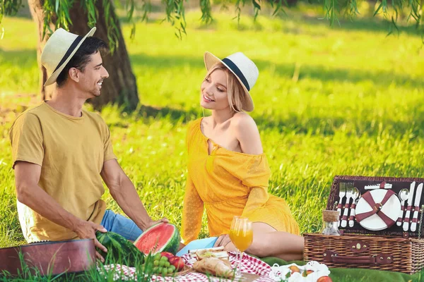 Happy Young Couple Picnic Park — Stock Photo, Image