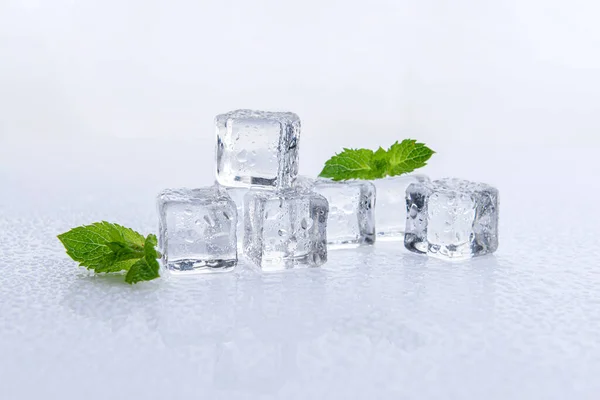 Ice Cubes Mint White Background — Stock Photo, Image
