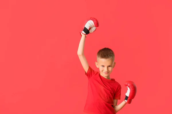 Niedliche Kleine Boxer Auf Farbigem Hintergrund — Stockfoto