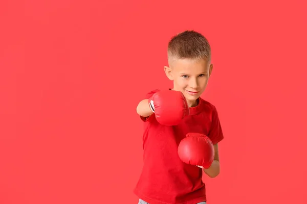 Pequeño Boxeador Lindo Sobre Fondo Color — Foto de Stock