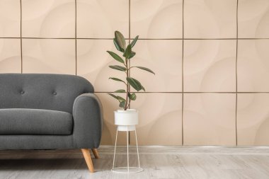 Oturma odasının duvarının yanındaki kanepe.