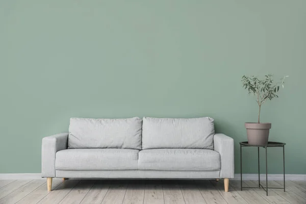 Sofa Wall Interior Living Room — Stock Photo, Image