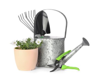 Beyaz arkaplanda bahçe araçları