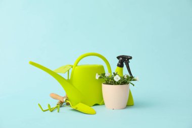 Renk arkaplanındaki bahçe araçları