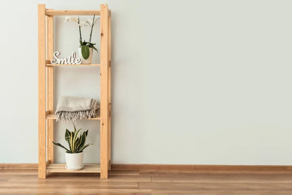 Shelf Unit Houseplants Light Wall — Stock Photo, Image