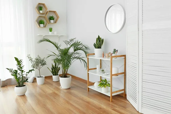 Interior of modern room with houseplants