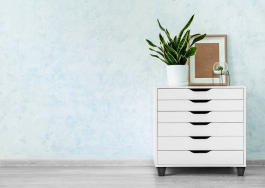 Ev bitkileri ve çekmeceleri olan modern bir oda.