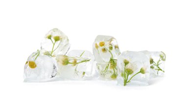 Donmuş çiçekler beyaz arka planda buzda