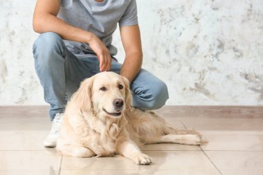 İçeride sevimli köpeği olan genç bir adam.