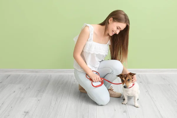 Young Woman Cute Dog Indoors — Stock Photo, Image