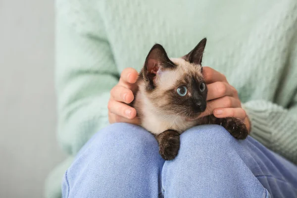 Leuke Thaise Kat Met Eigenaar Thuis — Stockfoto