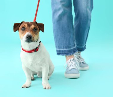 Renkli arka planda sevimli köpeği olan genç bir kadın.