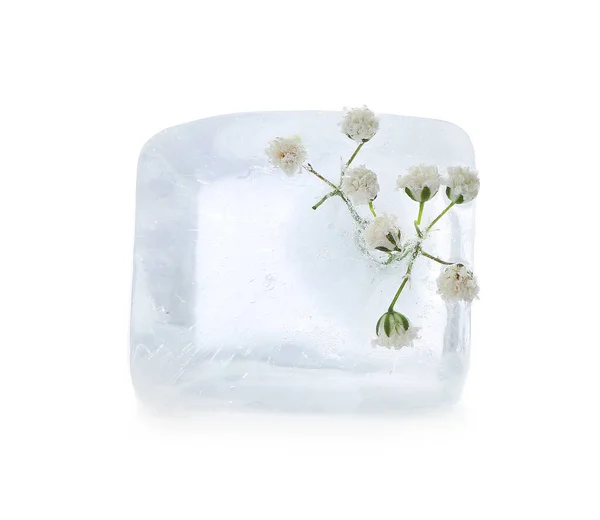 Frozen Flowers Ice White Background — Stock Photo, Image