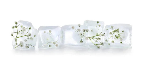 白い背景の氷の中の冷凍花 — ストック写真
