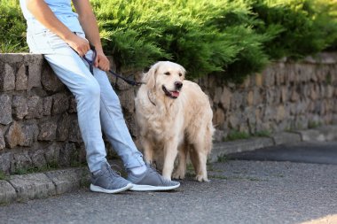 Dışarıda gezen sevimli köpekli genç adam.