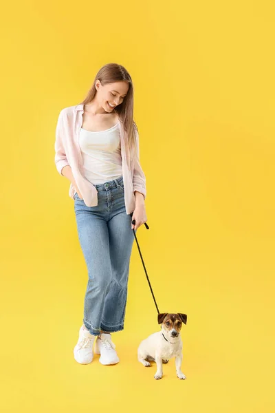 Junge Frau Mit Süßem Hund Auf Farbigem Hintergrund — Stockfoto