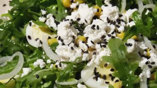 Salată Gustoasă Arugula Brânză Vaci Closeup — Videoclip de stoc