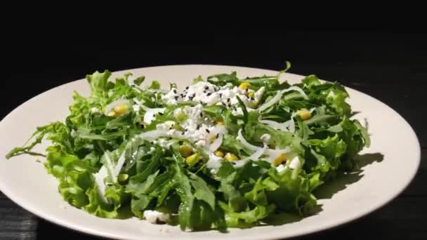 Lekkere Salade Met Arugula Kwark Bord — Stockvideo