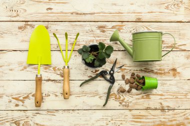 Ahşap arka planda bahçe araçları