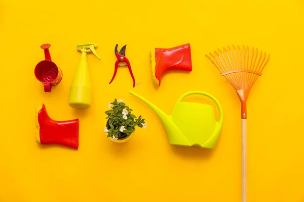 Tuinieren Tools Kleur Achtergrond — Stockfoto