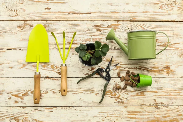 Ahşap arka planda bahçe araçları