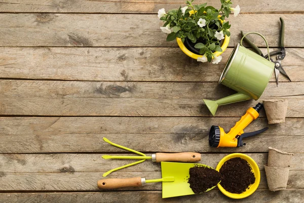 Gardening Tools Wooden Background — Stock Photo, Image