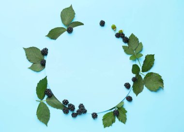 Renkli arkaplanda olgun, lezzetli böğürtlenden yapılmış çerçeve