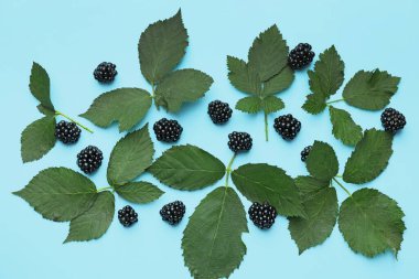 Renkli arkaplanda olgun, lezzetli böğürtlen