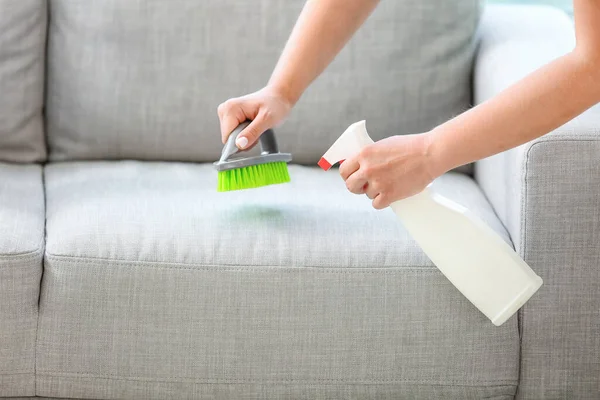 Kuru temizlemecinin çalışanı evdeki kanepedeki kiri temizliyor.