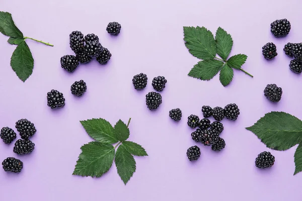 Ripe Tasty Blackberry Color Background — Stock Photo, Image