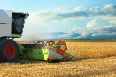 Buğday tarlasında hasatçıyı birleştir