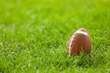 Yeşil sahada ragbi topu