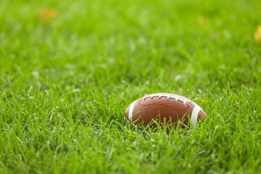 Yeşil sahada ragbi topu
