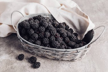 Gri arka planda olgun böğürtlenli sepet