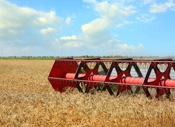 Combina Mietitrebbia Nel Campo Grano — Foto Stock