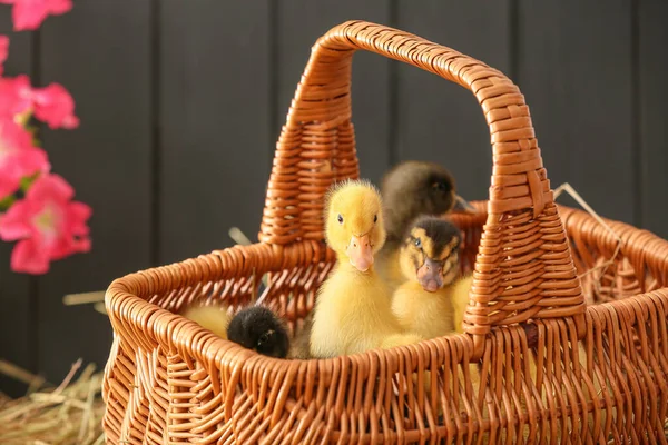 Masada şirin ördek yavruları olan sepet.
