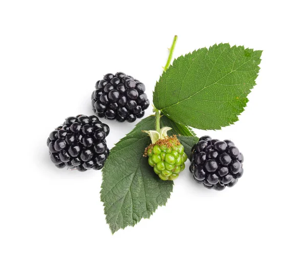 Ripe Tasty Blackberry White Background — Stock Photo, Image