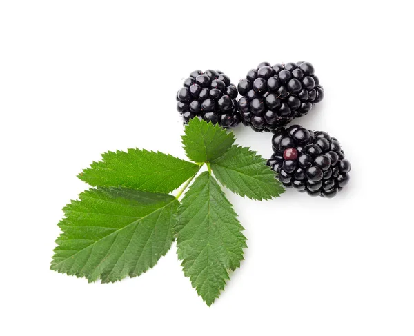 Ripe Tasty Blackberry White Background — Stock Photo, Image