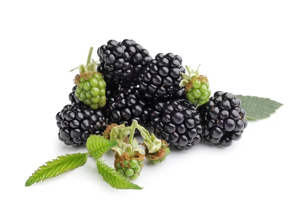 白色背景的黑莓味 — 图库照片