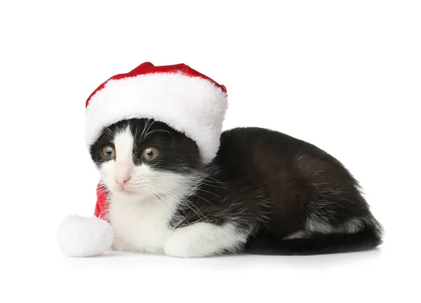 Roztomilé Legrační Kotě Kloboukem Santa Claus Bílém Pozadí — Stock fotografie